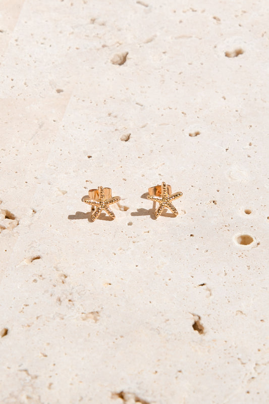Echo Starfish Stud Earrings - Gold