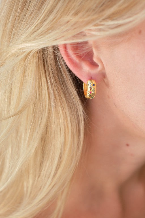 Stella Earrings - Rainbow